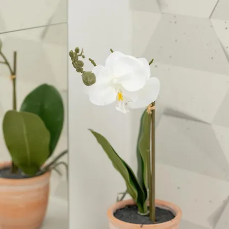 아파트 Cosy Near The Old Town By Renters *